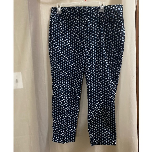 Ann Taylor corp pants blue and white - Picture 1 of 7